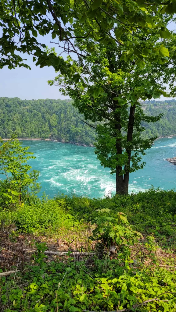 Niagara Whirpool