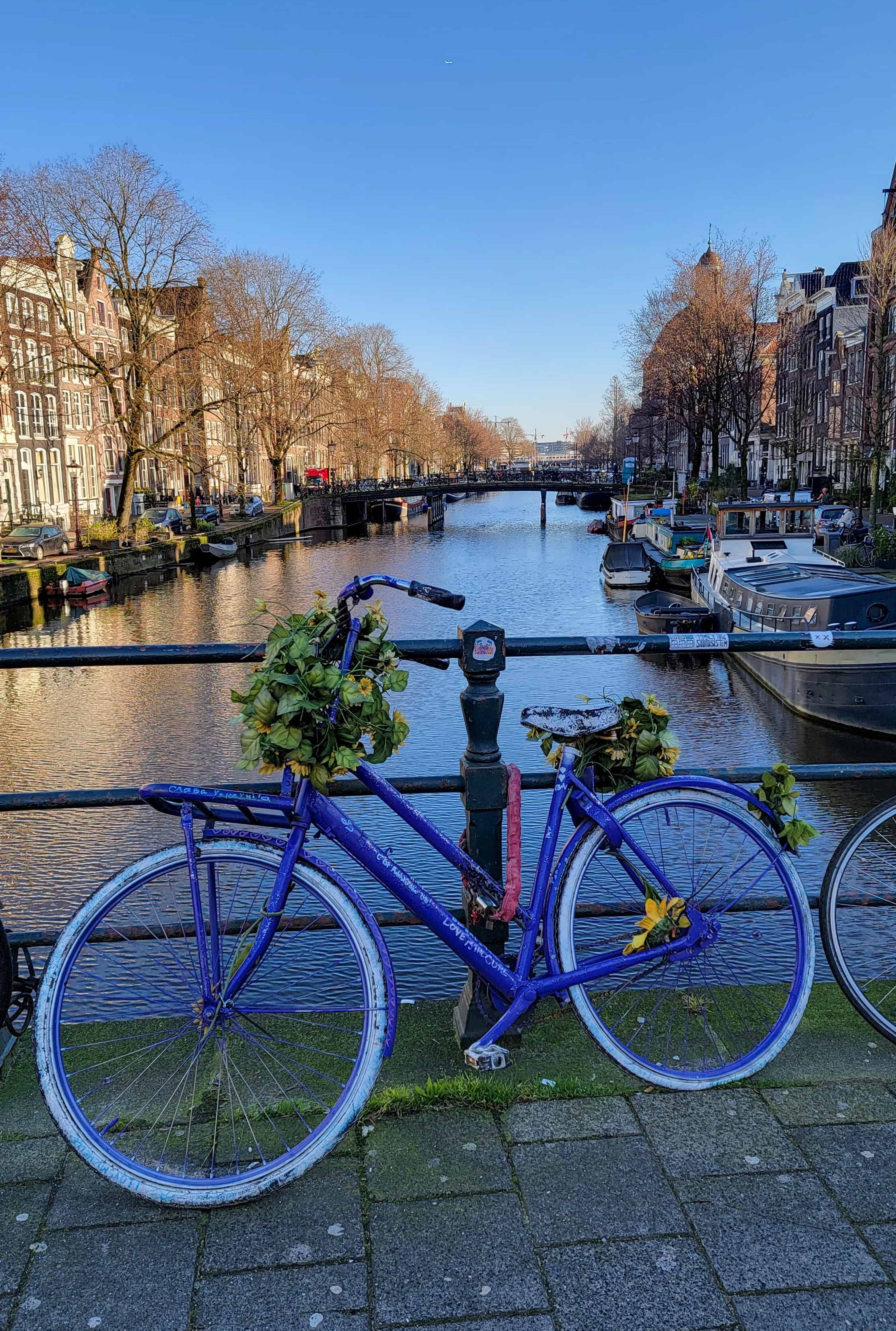 a bicycle and a canal in 
Amsterdam, one of the best solo travel destinations in Europe