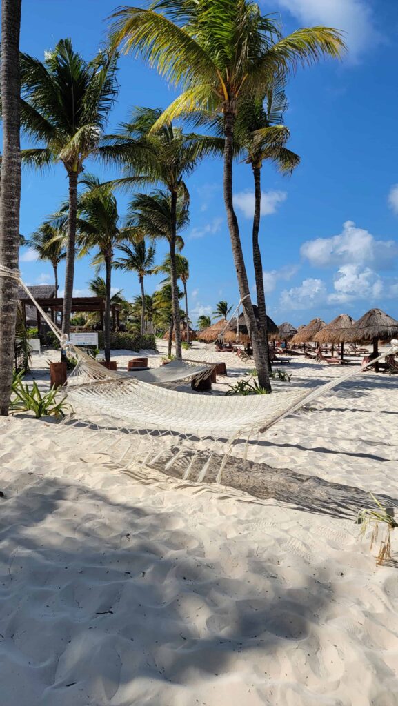 beach and palm trees in tulum