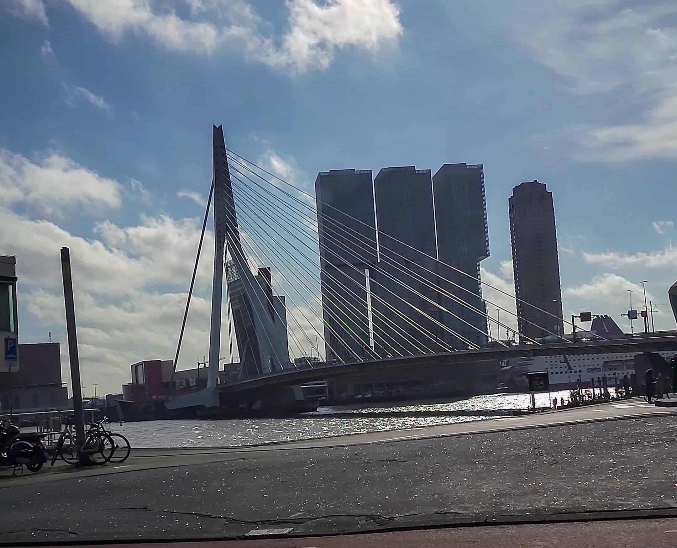 erasmus bridge in rotterdam