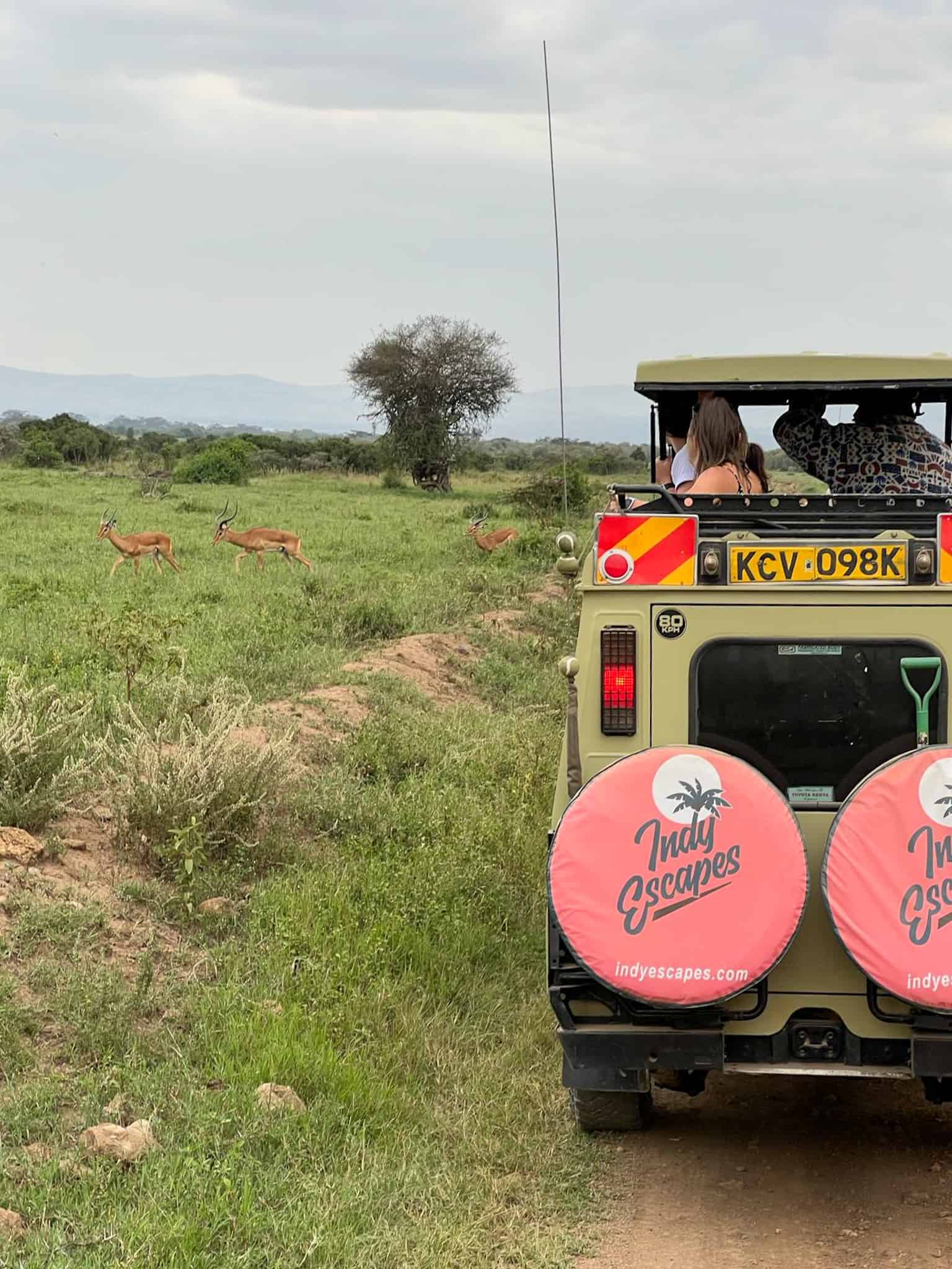 Indy Escapes jeep in a National Park in Kenya