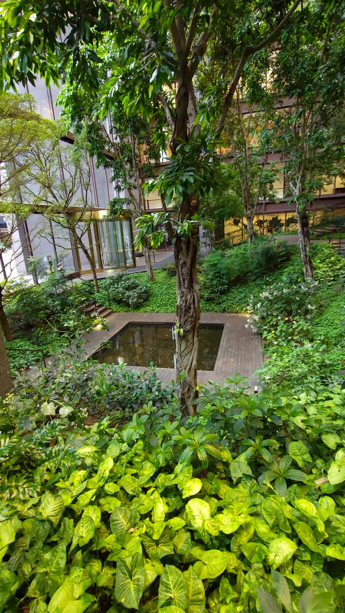 rain forest inside the Ford Foundation building in NYC