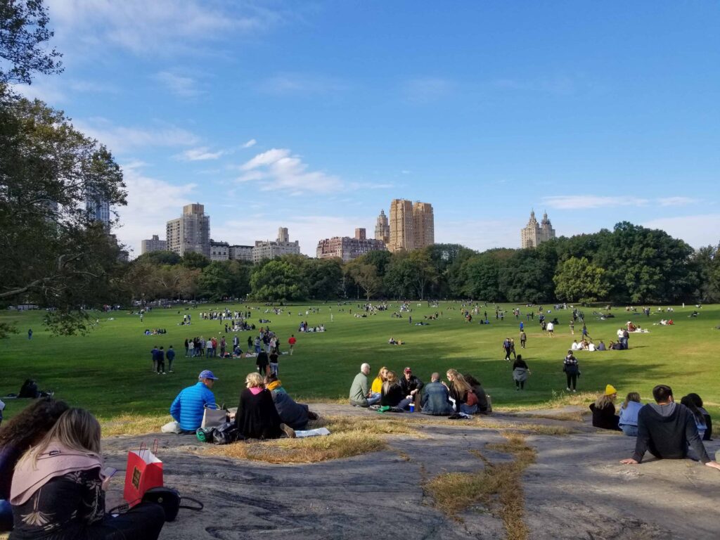 people at sheep meadow in central park nyc