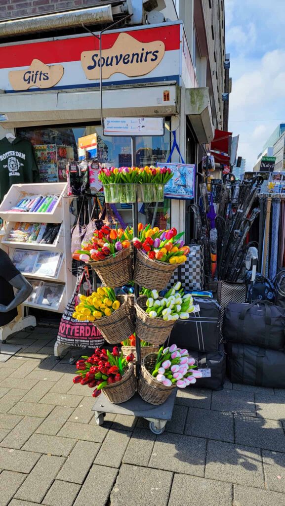 wooden tulips at a souvenir shop, some of the best souvenirs from amsterdam