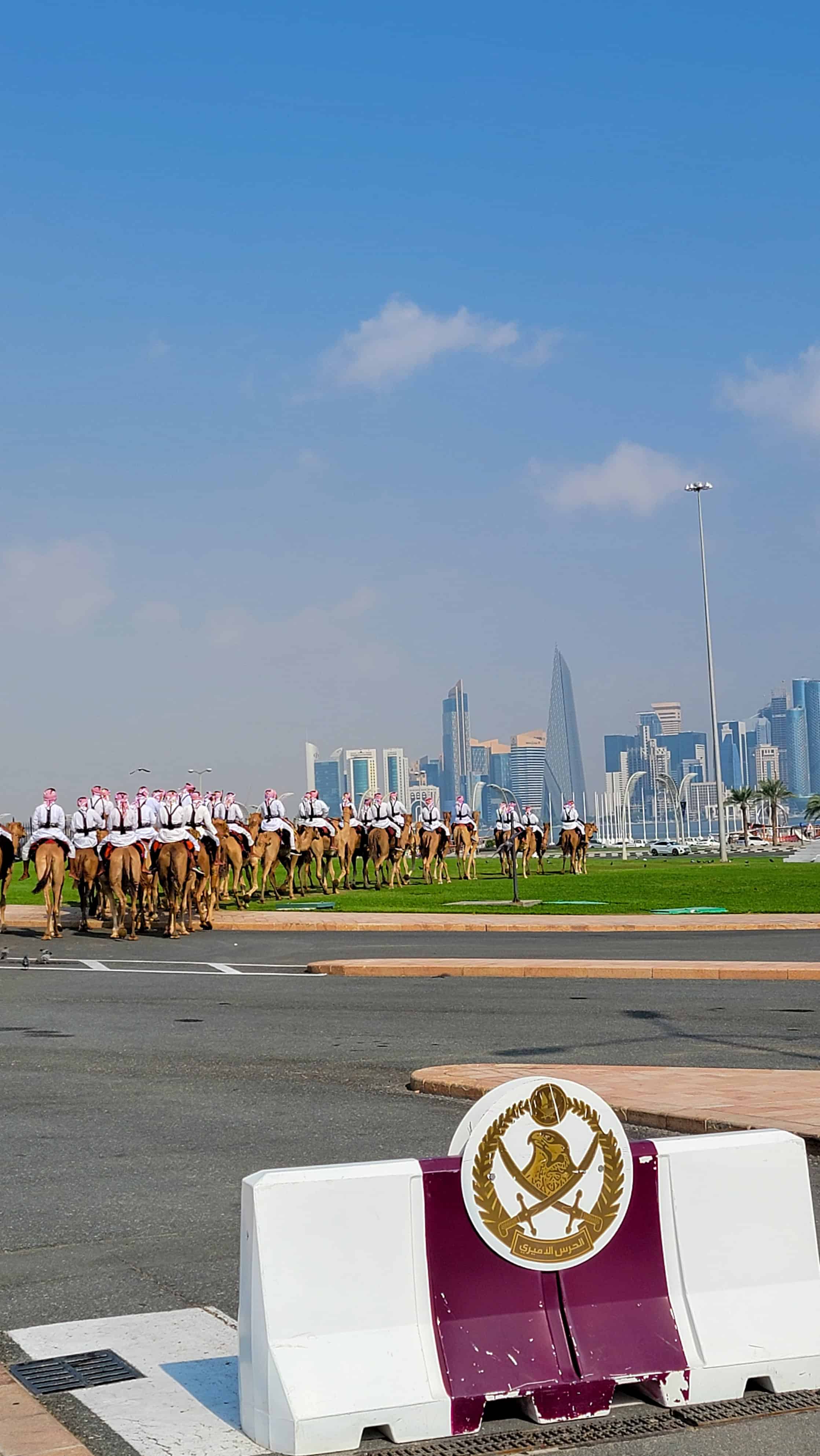 camel parade in doha