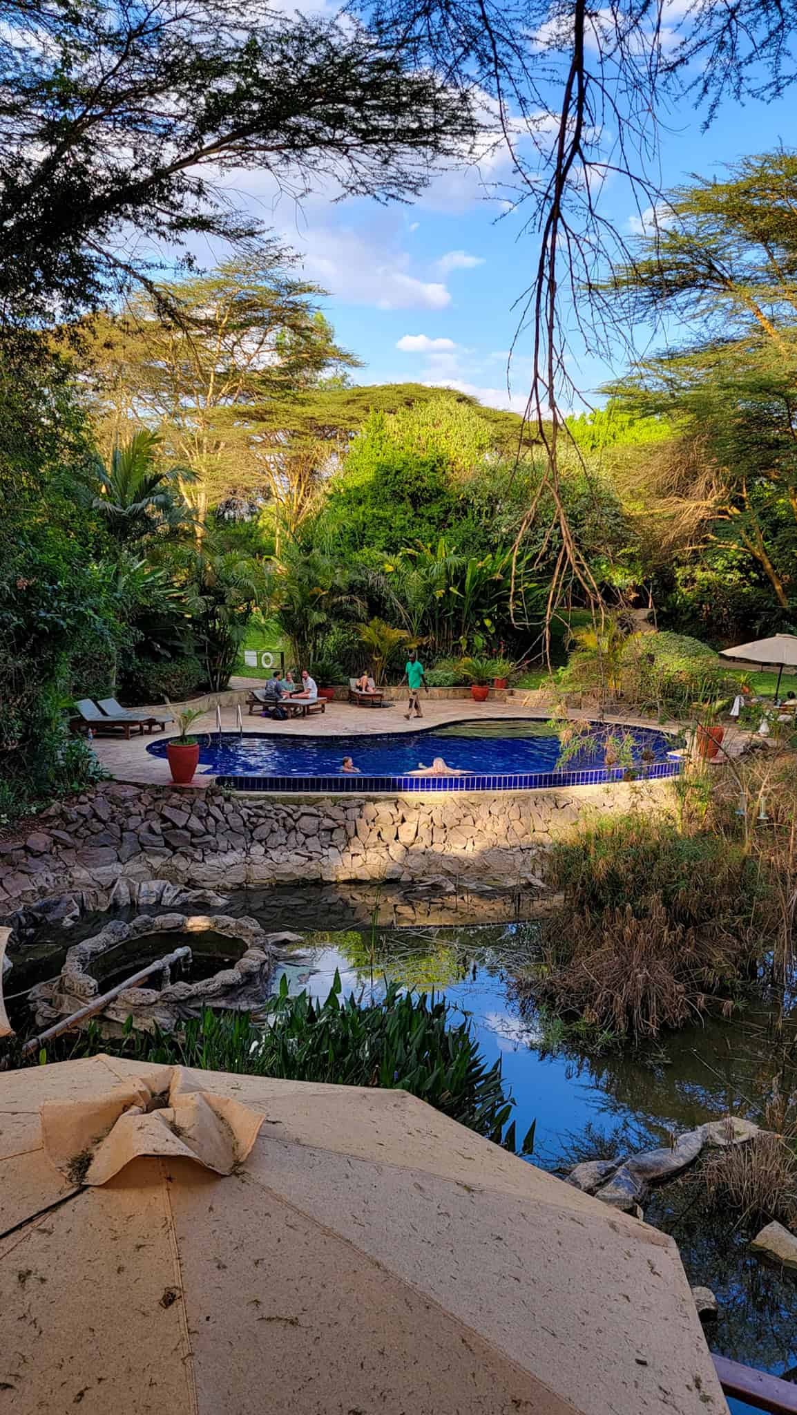 pool at wildebeest eco camp