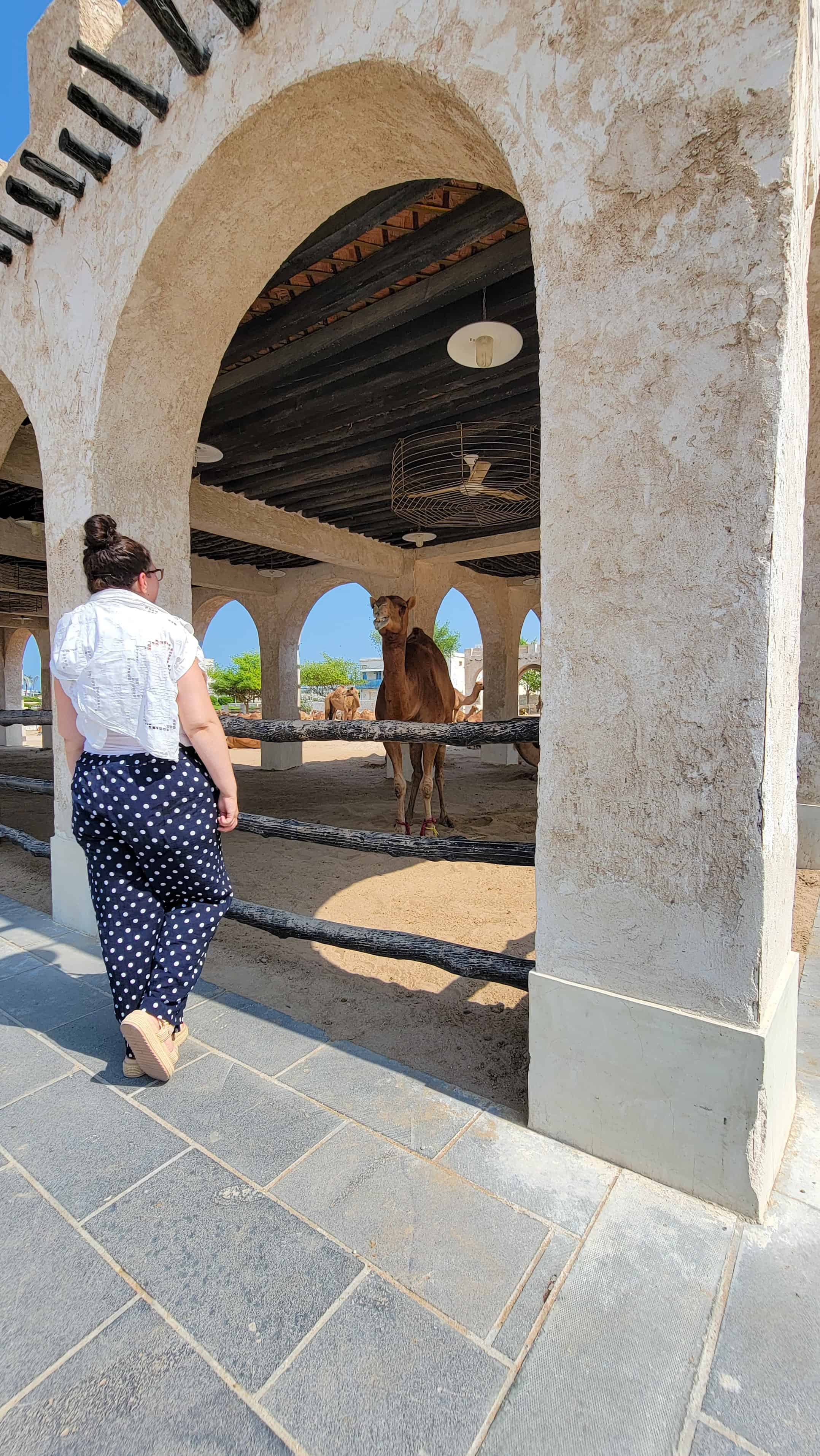 the author and a camel in doha