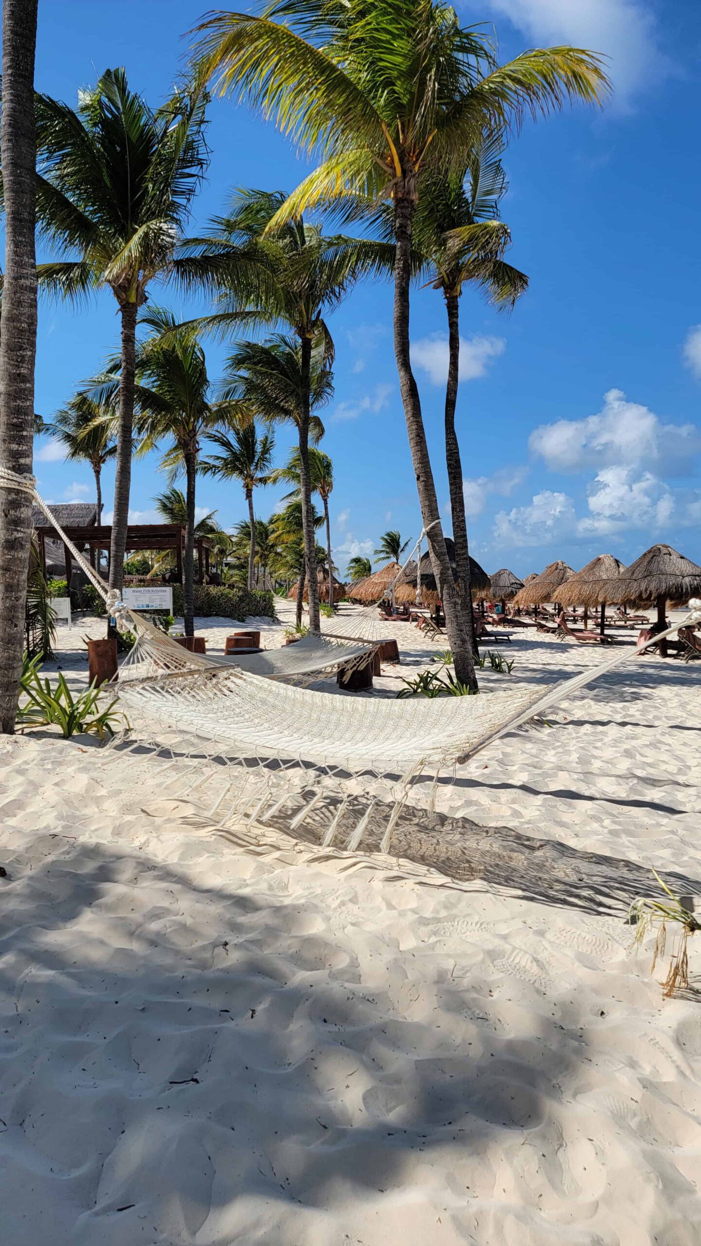 beach, a hammock, and palm trees in tulum