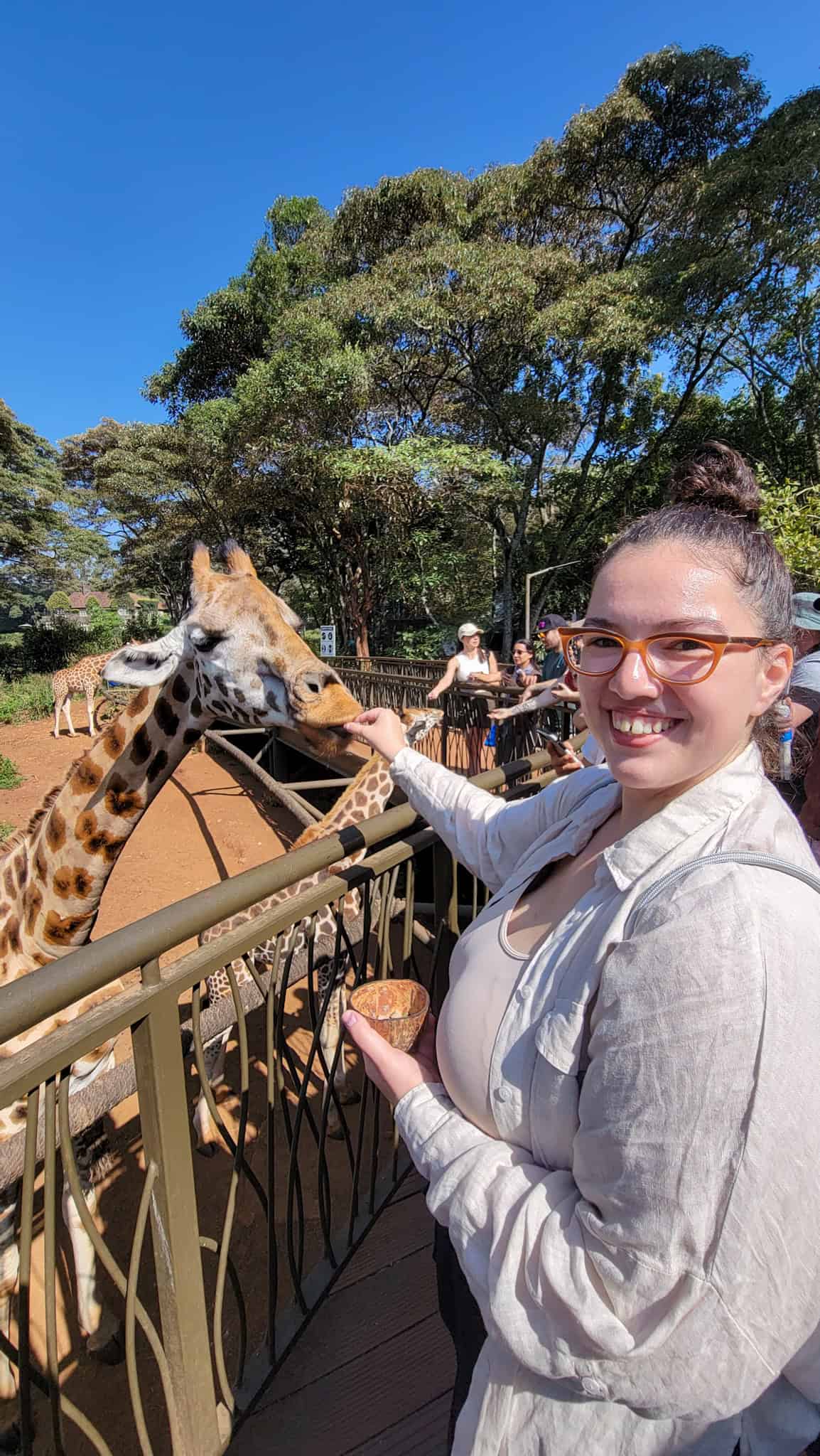 the author feeding a giraffe in kenya