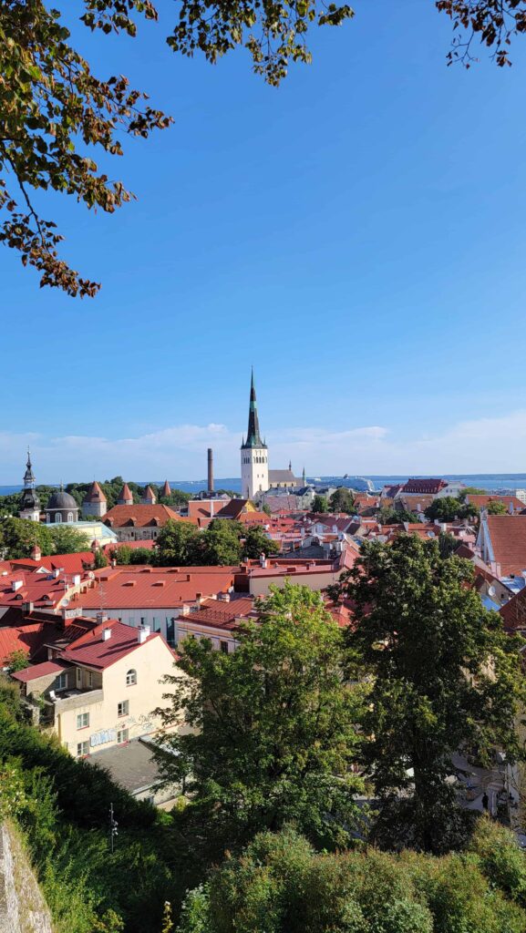 view of tallinn old town