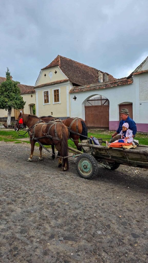 a horse and carriage in a village in romania