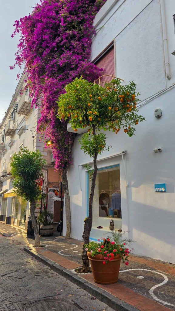 a street in ischia