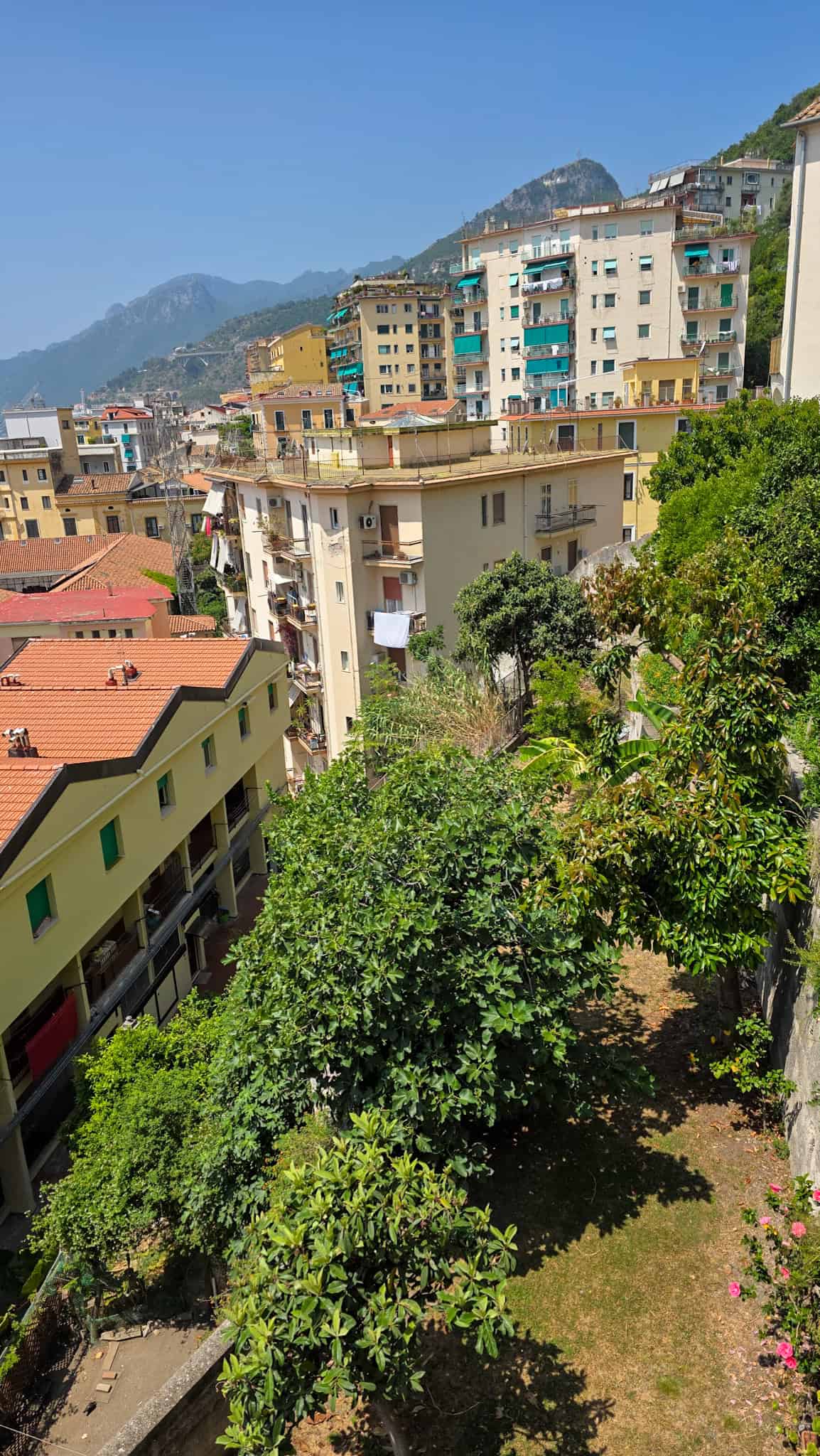 the plants in giardino della minerva in salerno