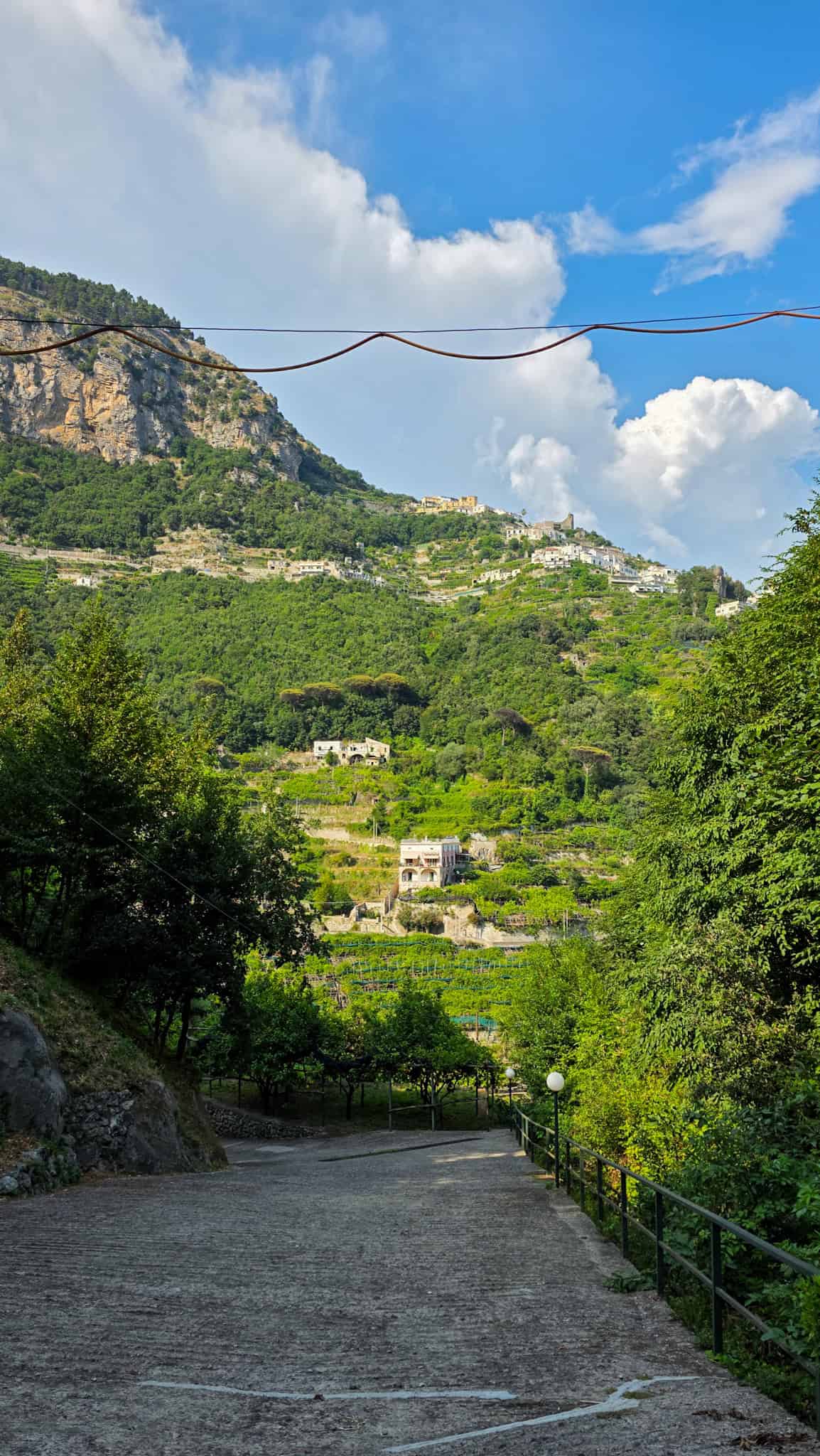 view of amalfi from a lemon farm