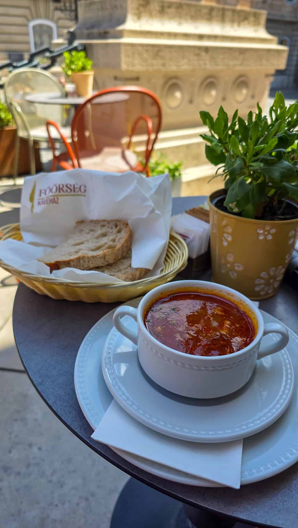 a bowl of goulash at royal guard cafe in budapest