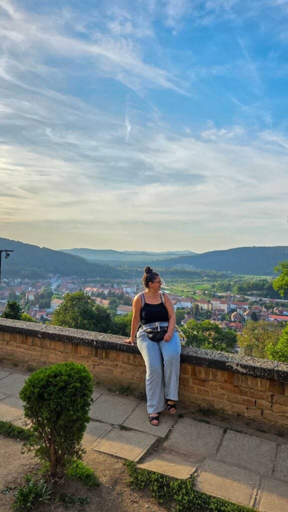 the author and a view of sighisoara