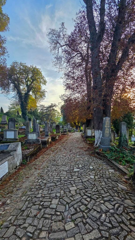 the saxon cemetery in sighisoara