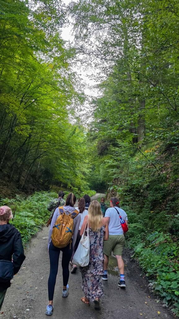 group of people walking through the forest to get to bear hide in transylvania