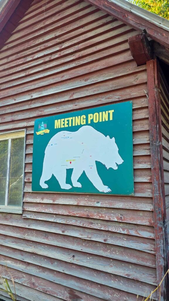 meeting point for bear watching in transylvania, romania