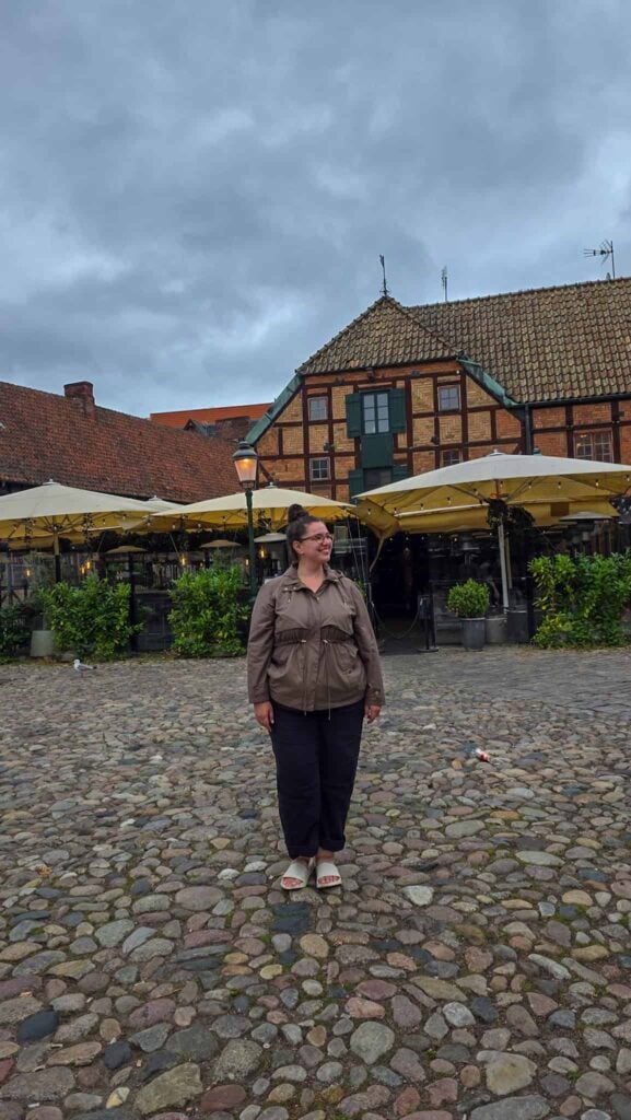 the author in malmo's lilla torg