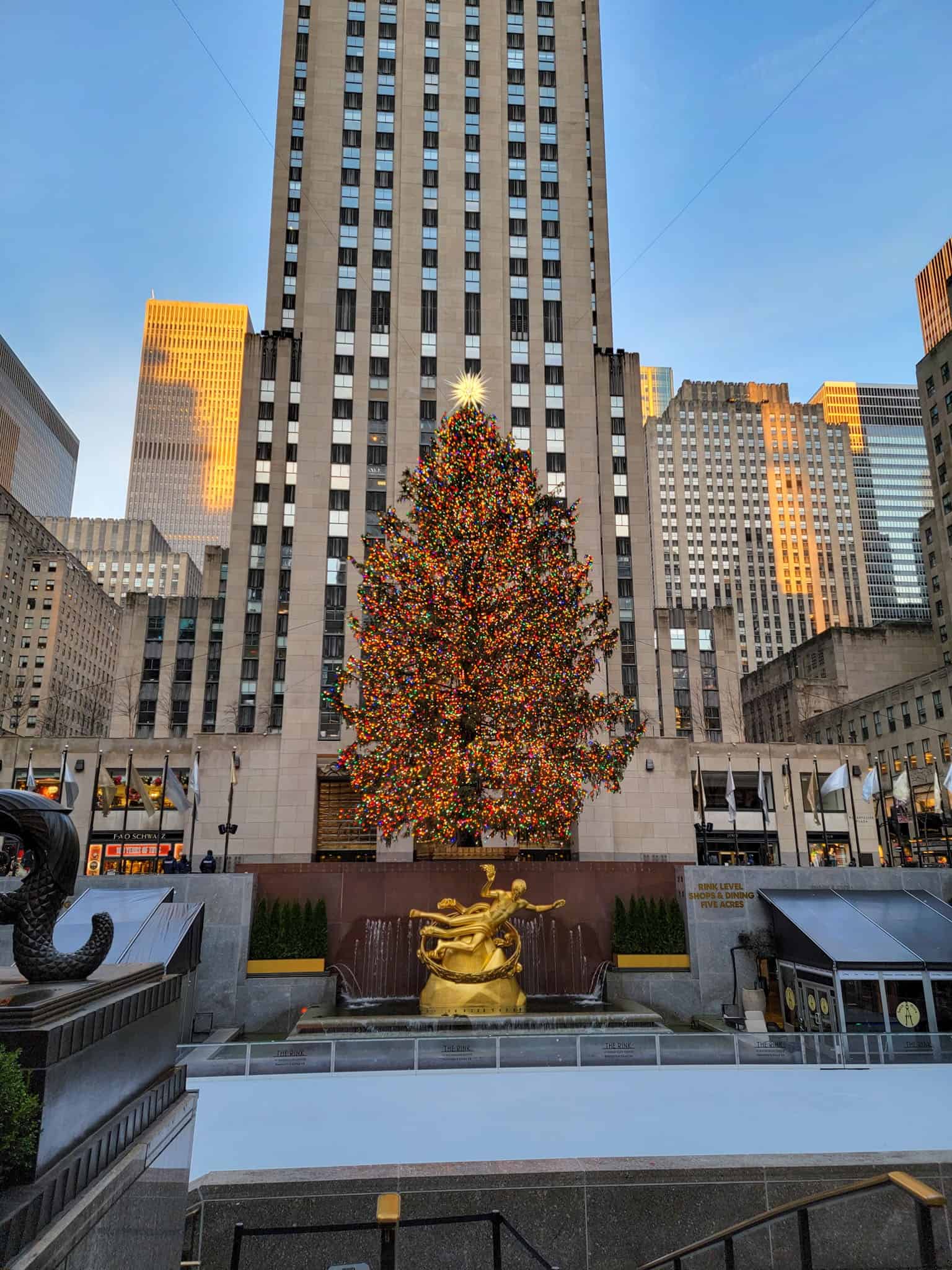 the christmas tree at rockefeller center